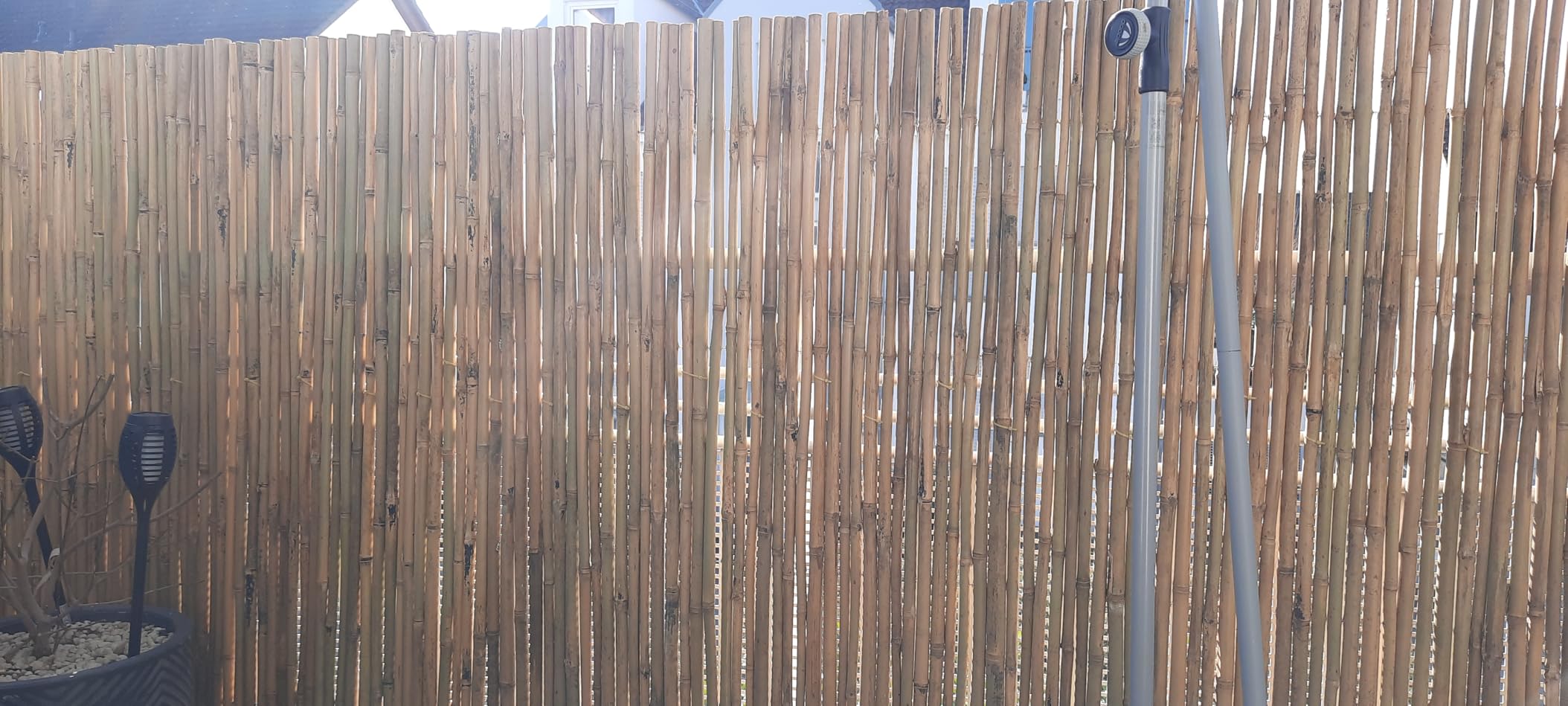 Sol Royal B38 Sichtschutzmatte 100x250 cm Bambus