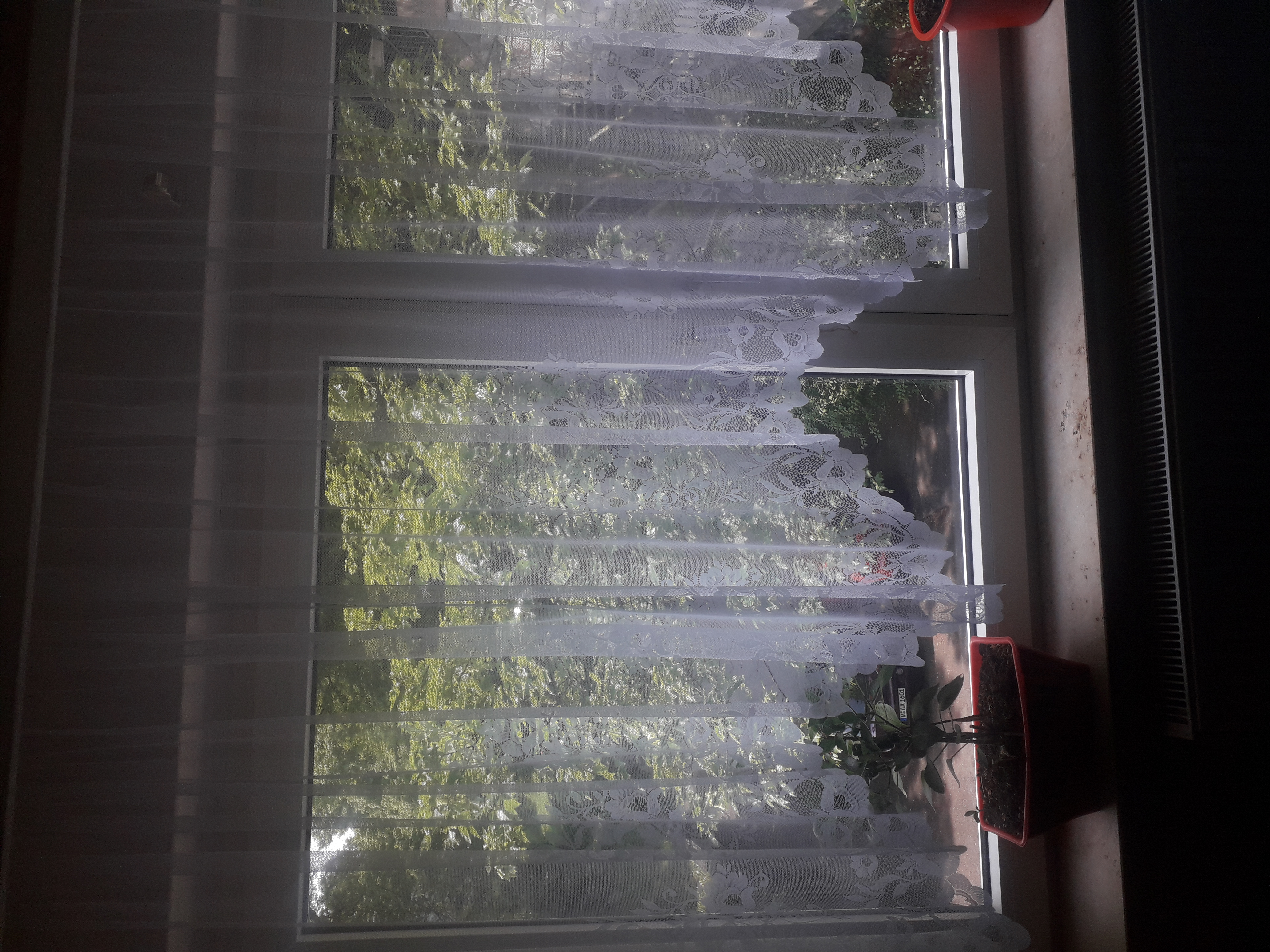 heimtexland Typ10 Bogengardine 145x250 cm weiß transparent