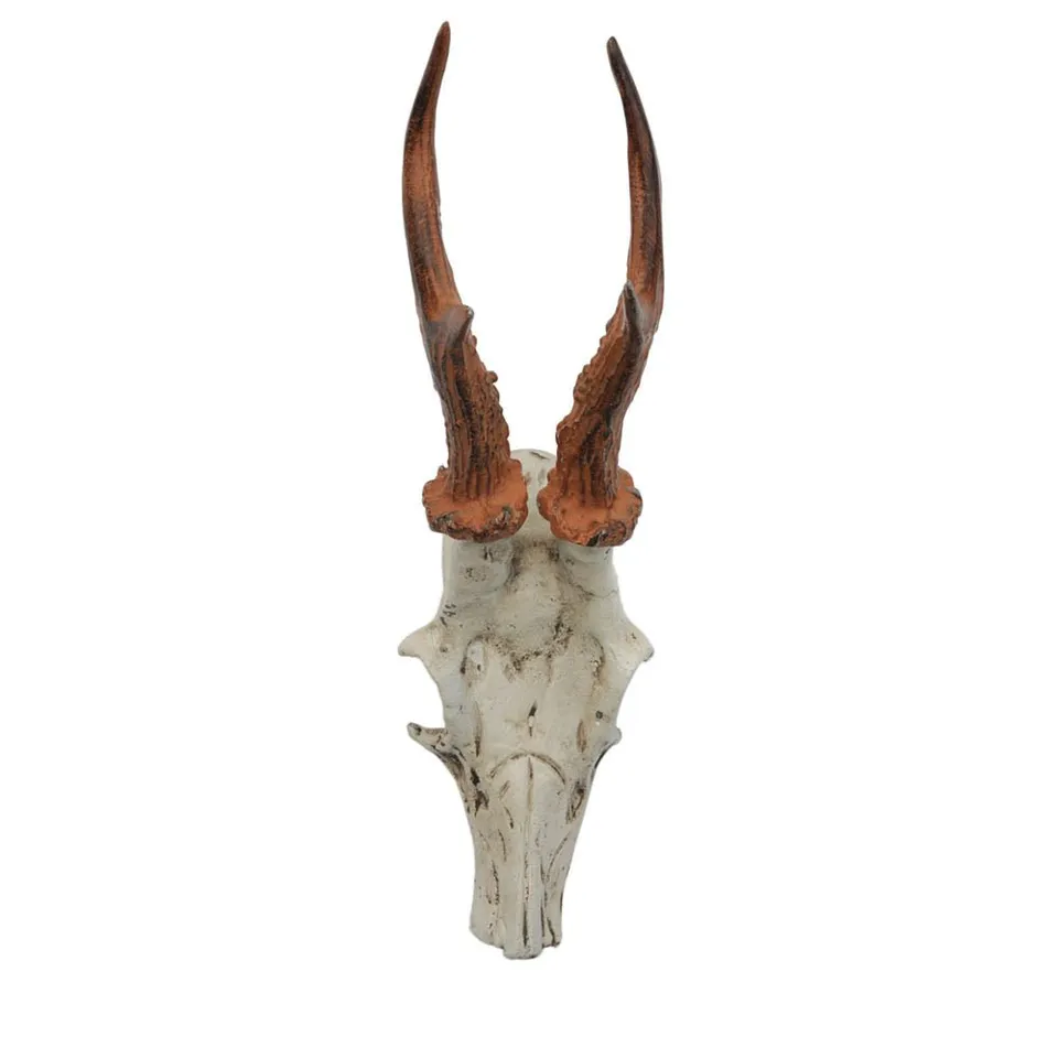 HAB & GUT DH009 Garderobenhaken Hirschgeweih Gusseisen