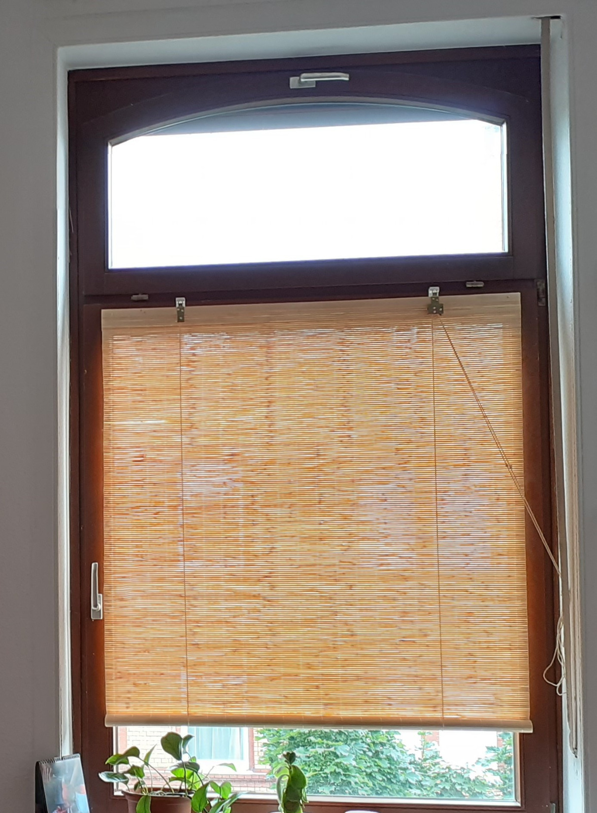 Sol Royal SolDecor B86 Bambusrollo 100x160 Natur blickdicht