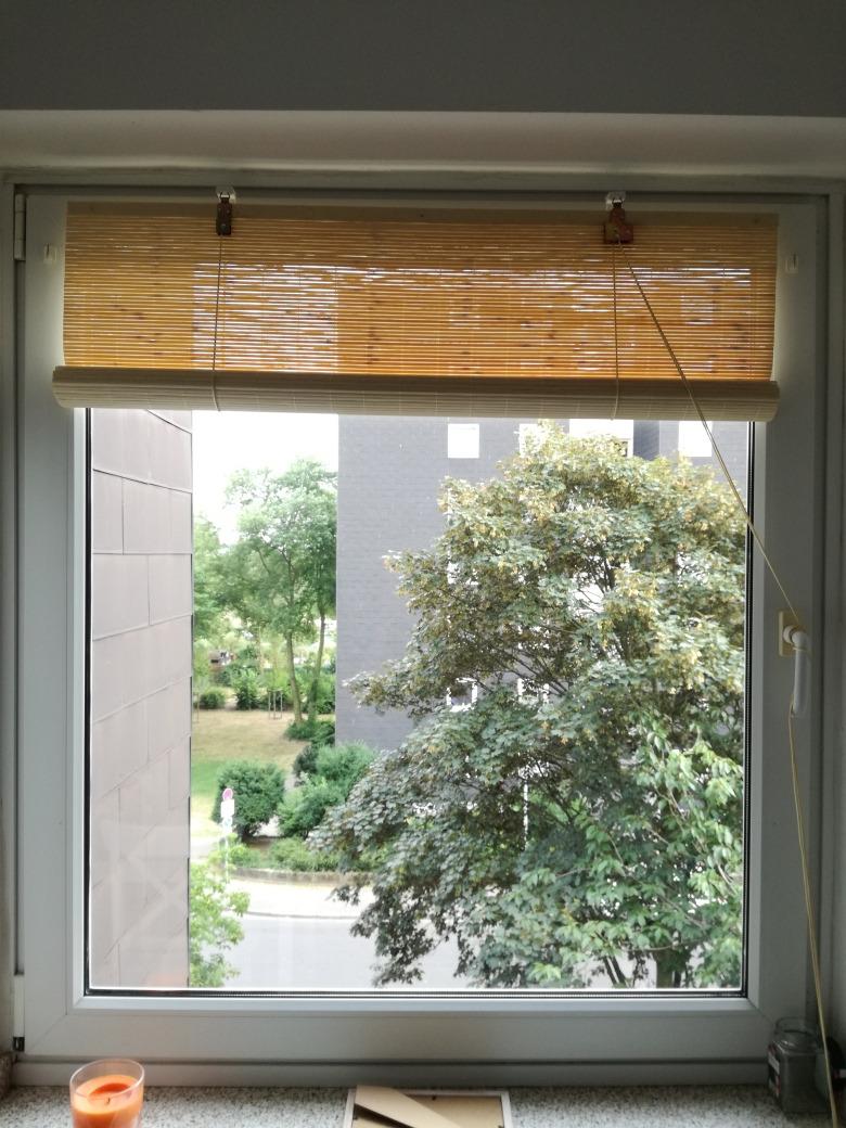 Sol Royal SolDecor B86 Bambusrollo 100x160 Natur blickdicht