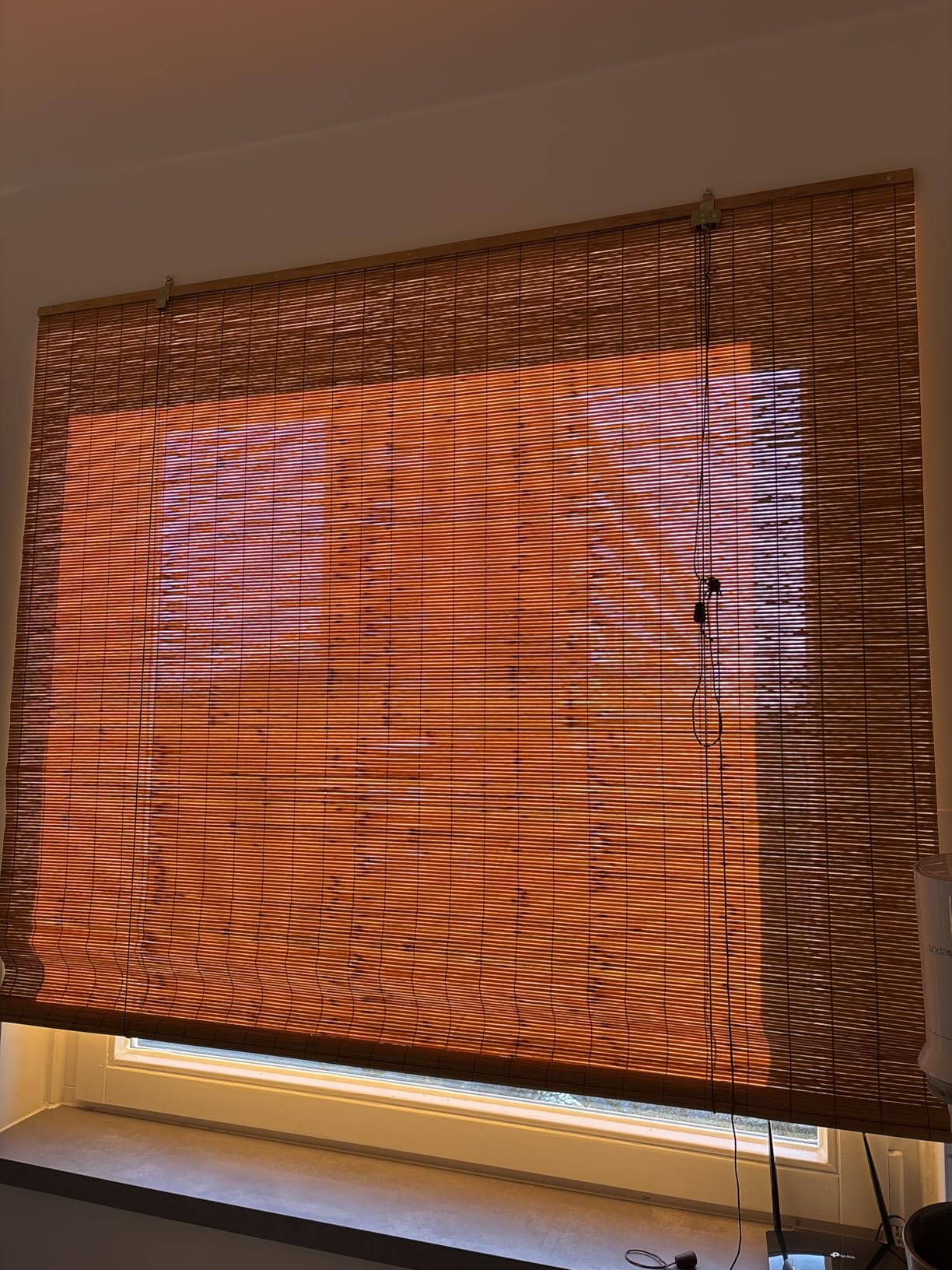 Sol Royal SolDecor B86 Bambusrollo 100x160 Natur blickdicht
