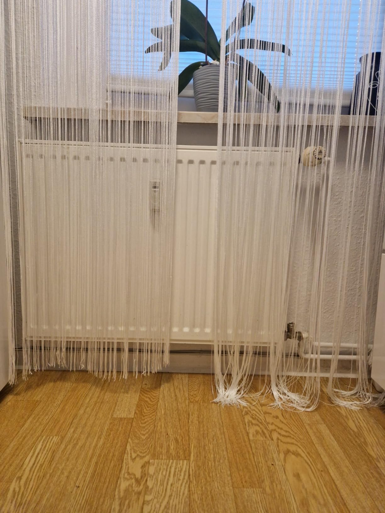 heimtexland Typ123 Fadengardine Silber 245x98 cm Ösen