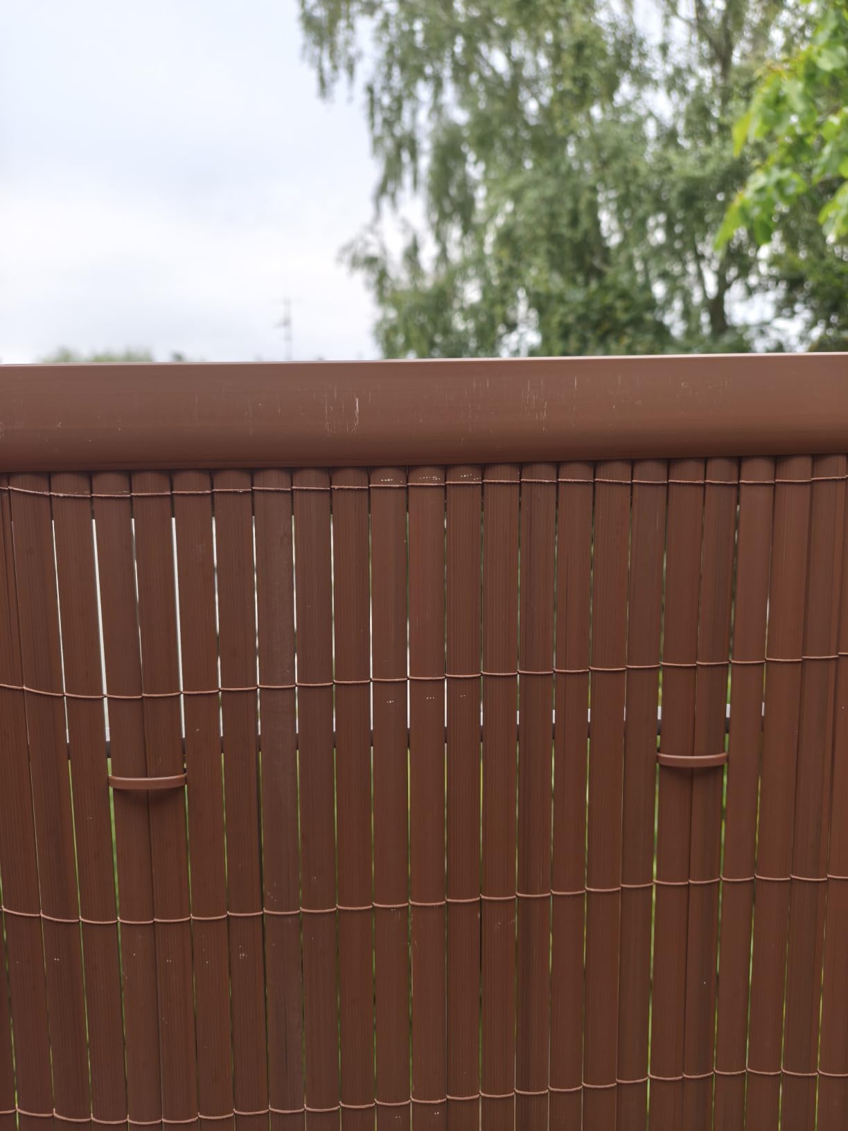 Sol Royal Sichtschutzmatte PVC mit Clips wetterfest