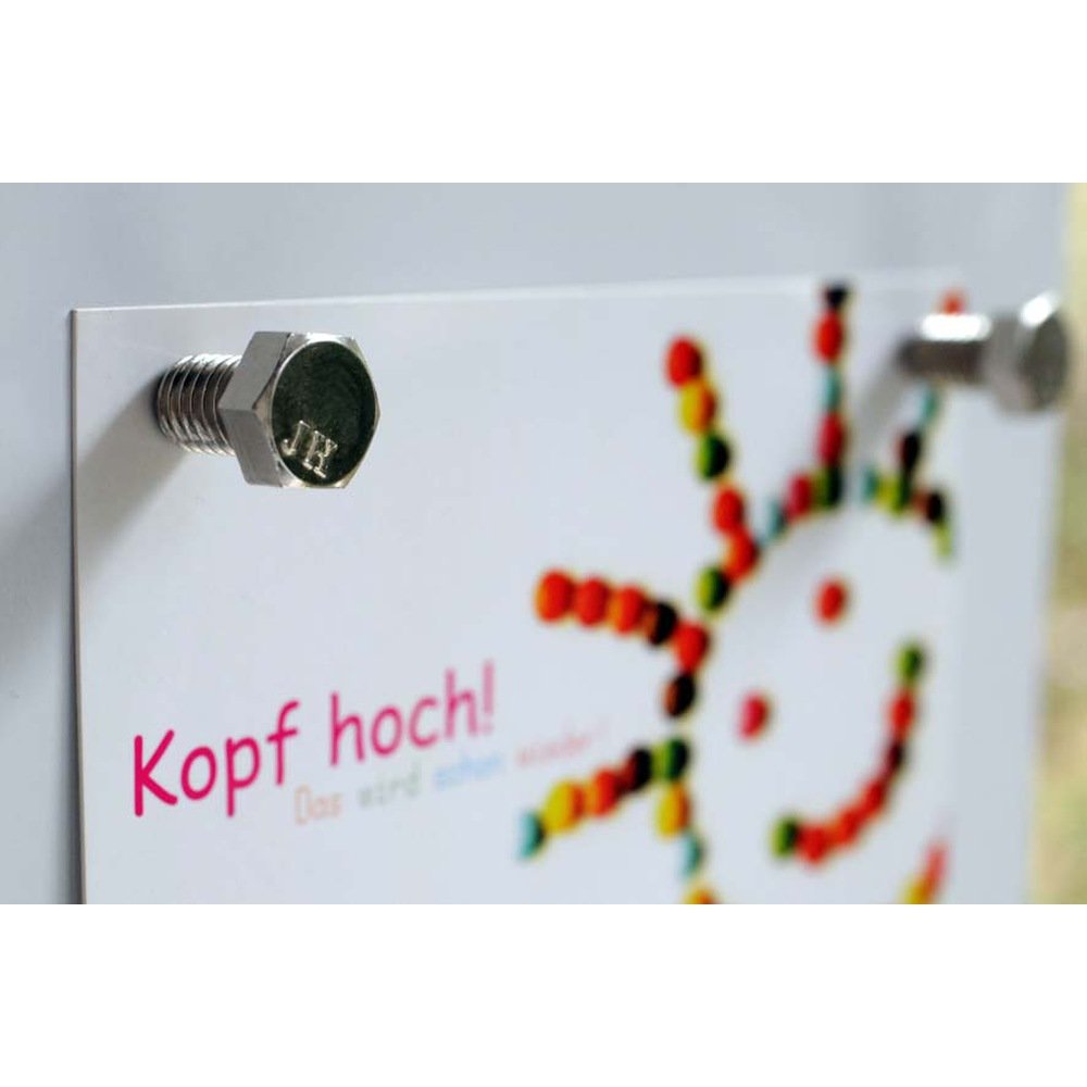 HAB & GUT MC025 Magnetschrauben 4er verchromt M10