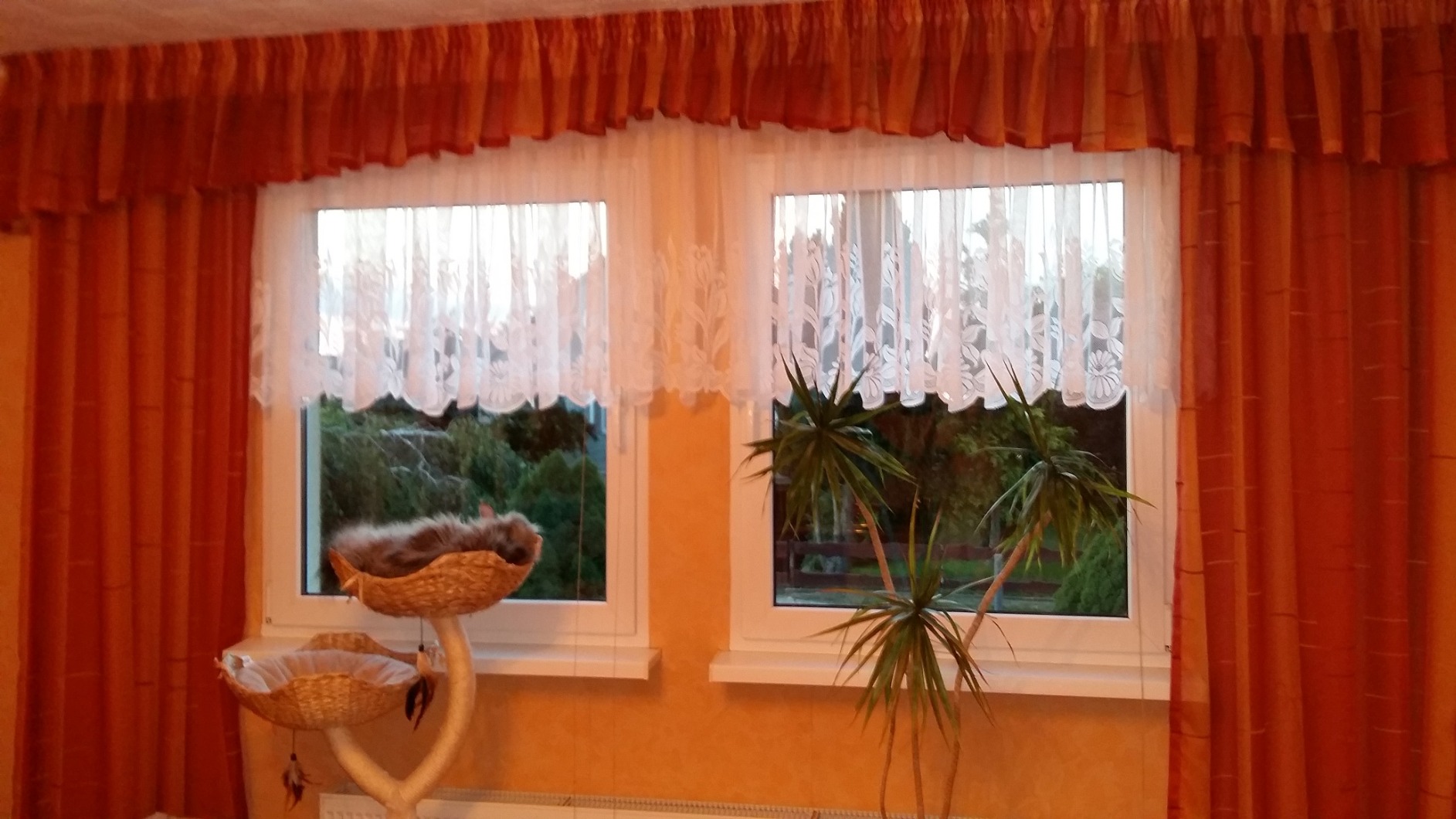 heimtexland Typ69 Store Gardine 160x450 cm weiß