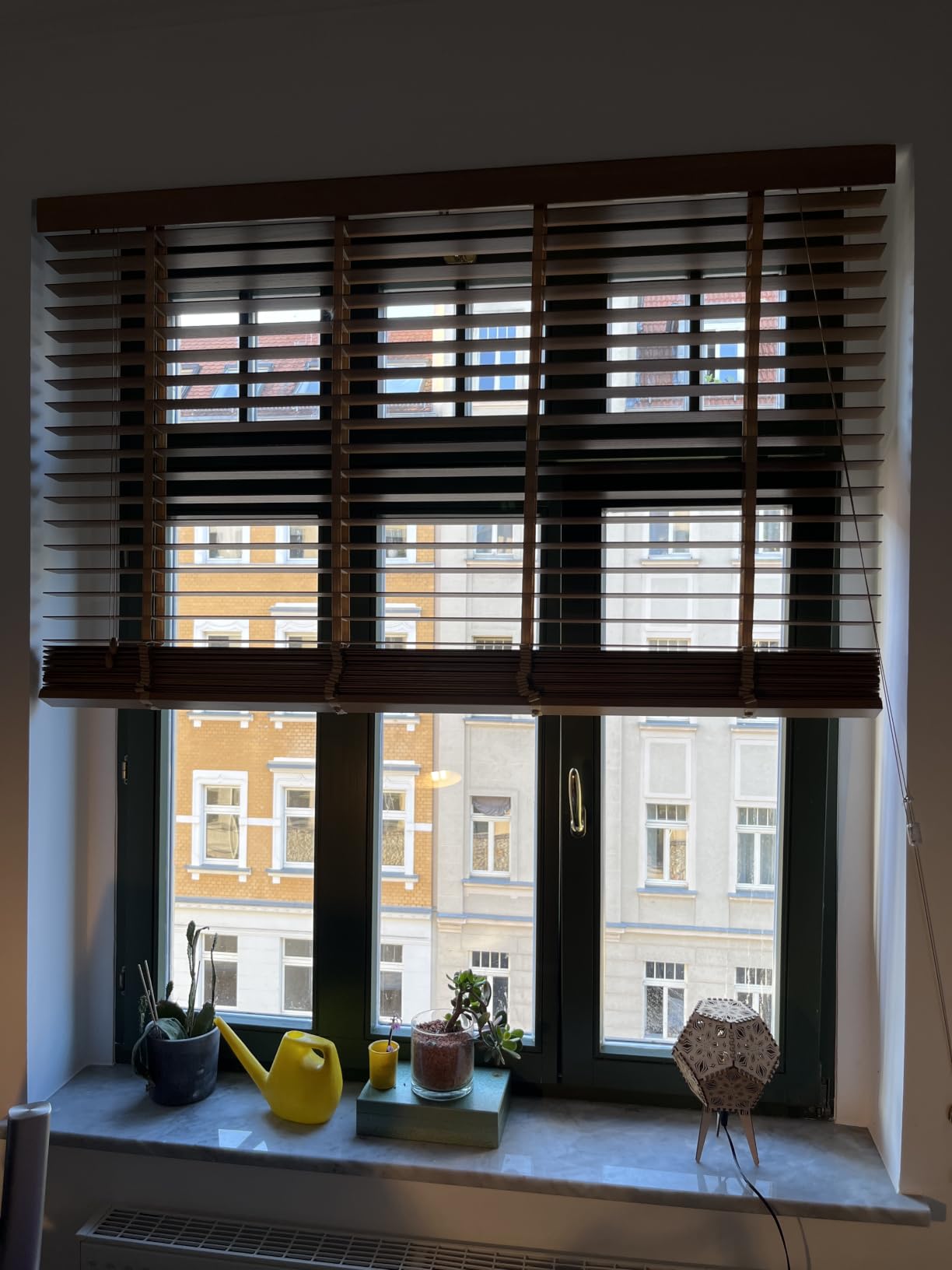 Sol Royal Holzjalousie 50mm 70x250 Echtholz blickdicht