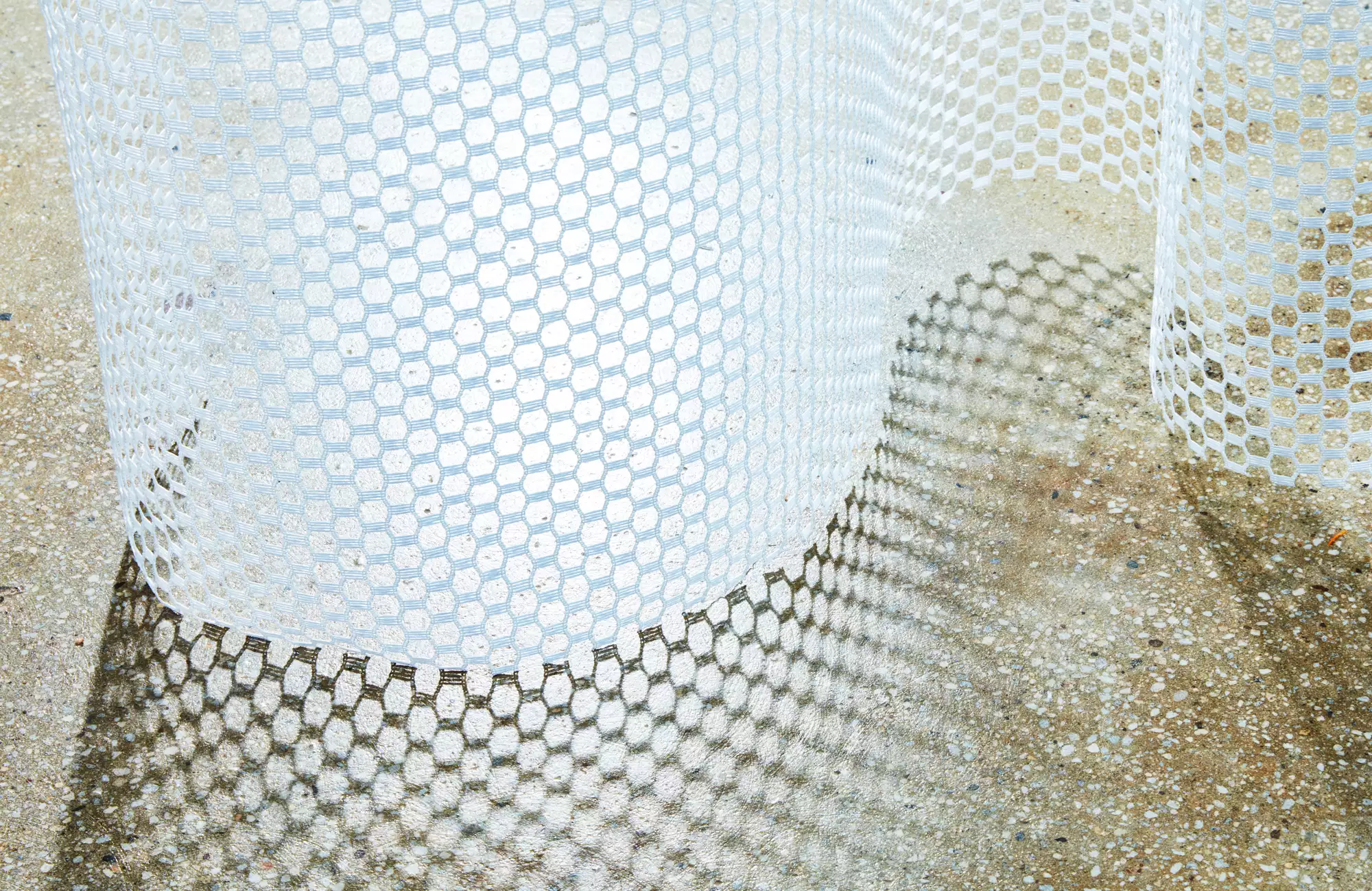 Création Baumann Globe Vorhangstoff transparent Netz
