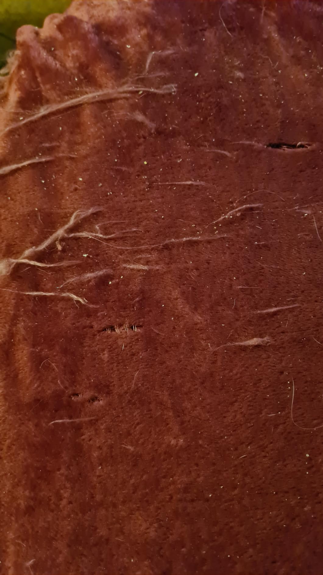 heimtexland Typ380 Kuscheldecke 150x200 cm Orange flauschig