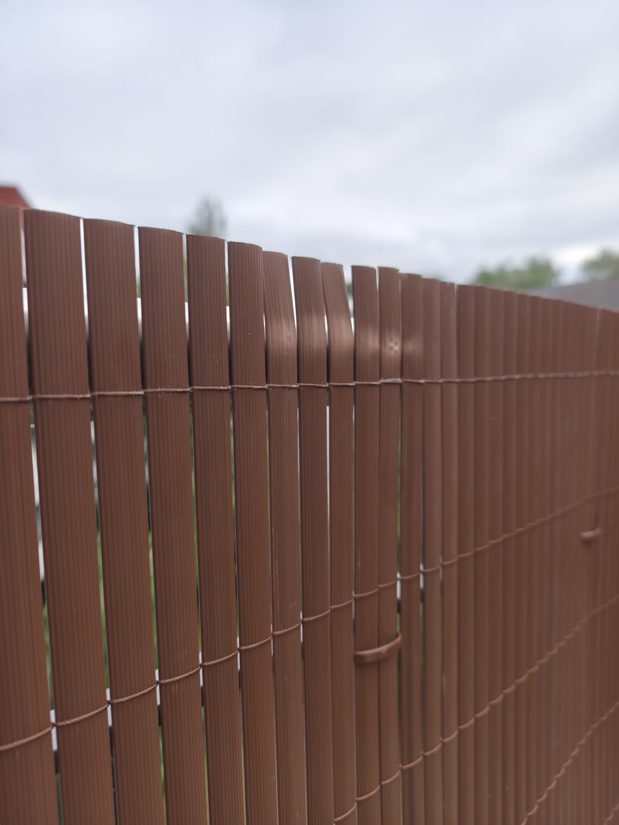 Sol Royal Sichtschutzmatte PVC mit Clips wetterfest