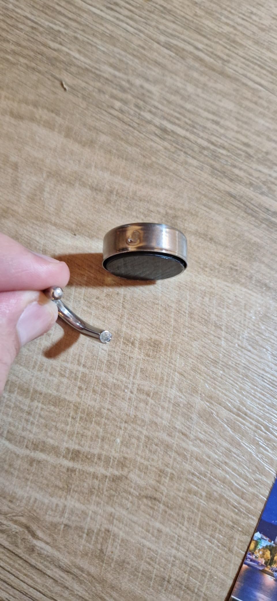 HAB & GUT MC601-2 Magnethaken 2er-Set extra stark