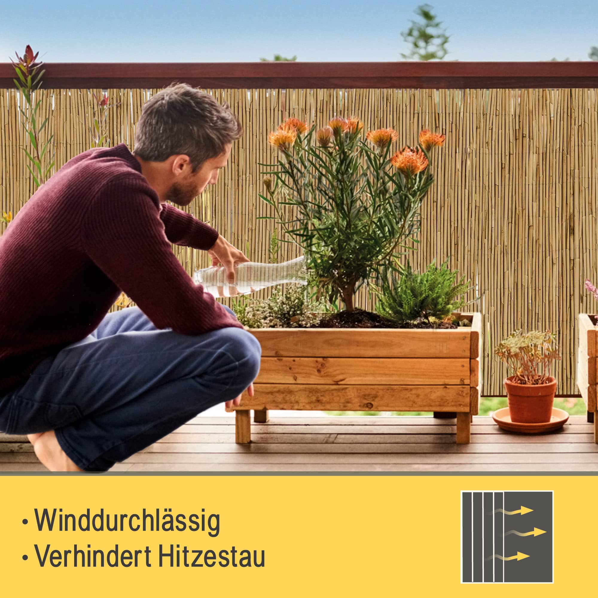 Sol Royal S36 Schilfmatte 140x600 cm natur