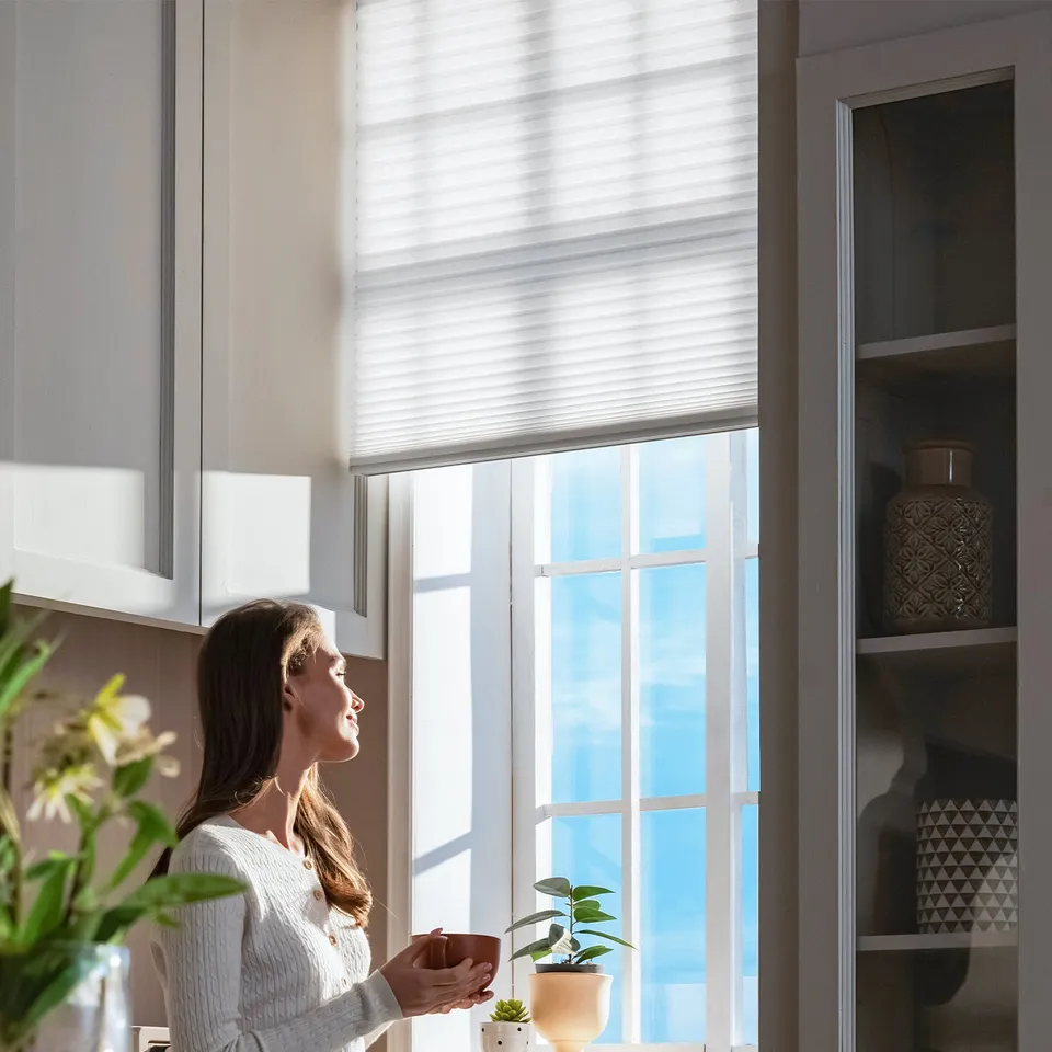 SmartWings Home Nowa Elektro Wabenplissee lichtdurchlässig