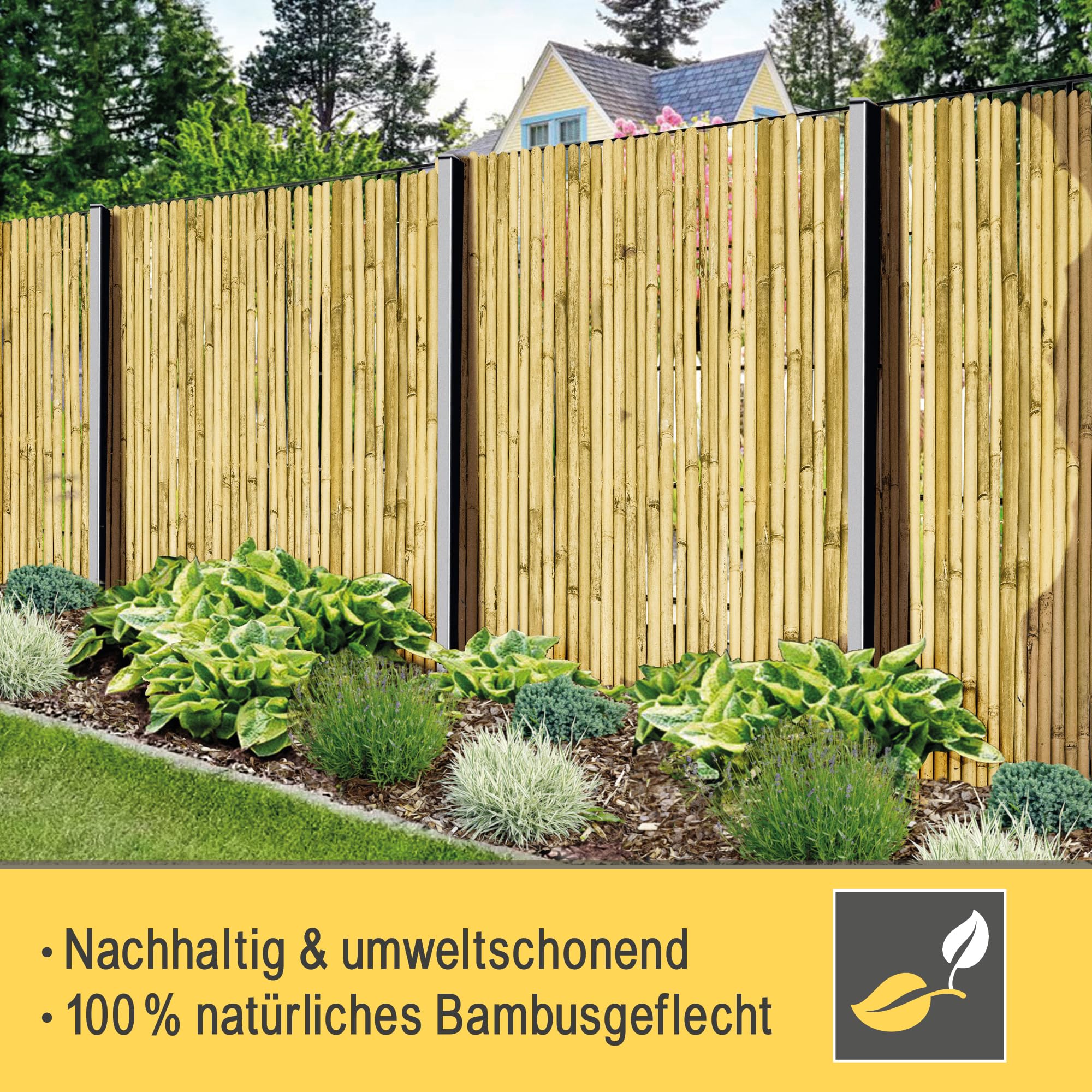 Sol Royal B99 Bambus Sichtschutz 100x250 hell natur