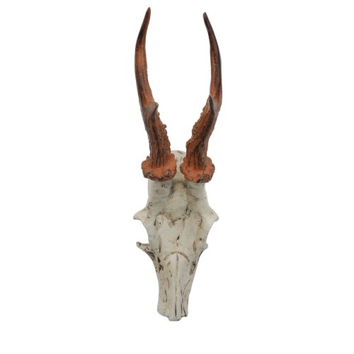 HAB & GUT DH009 Garderobenhaken Hirschgeweih Gusseisen